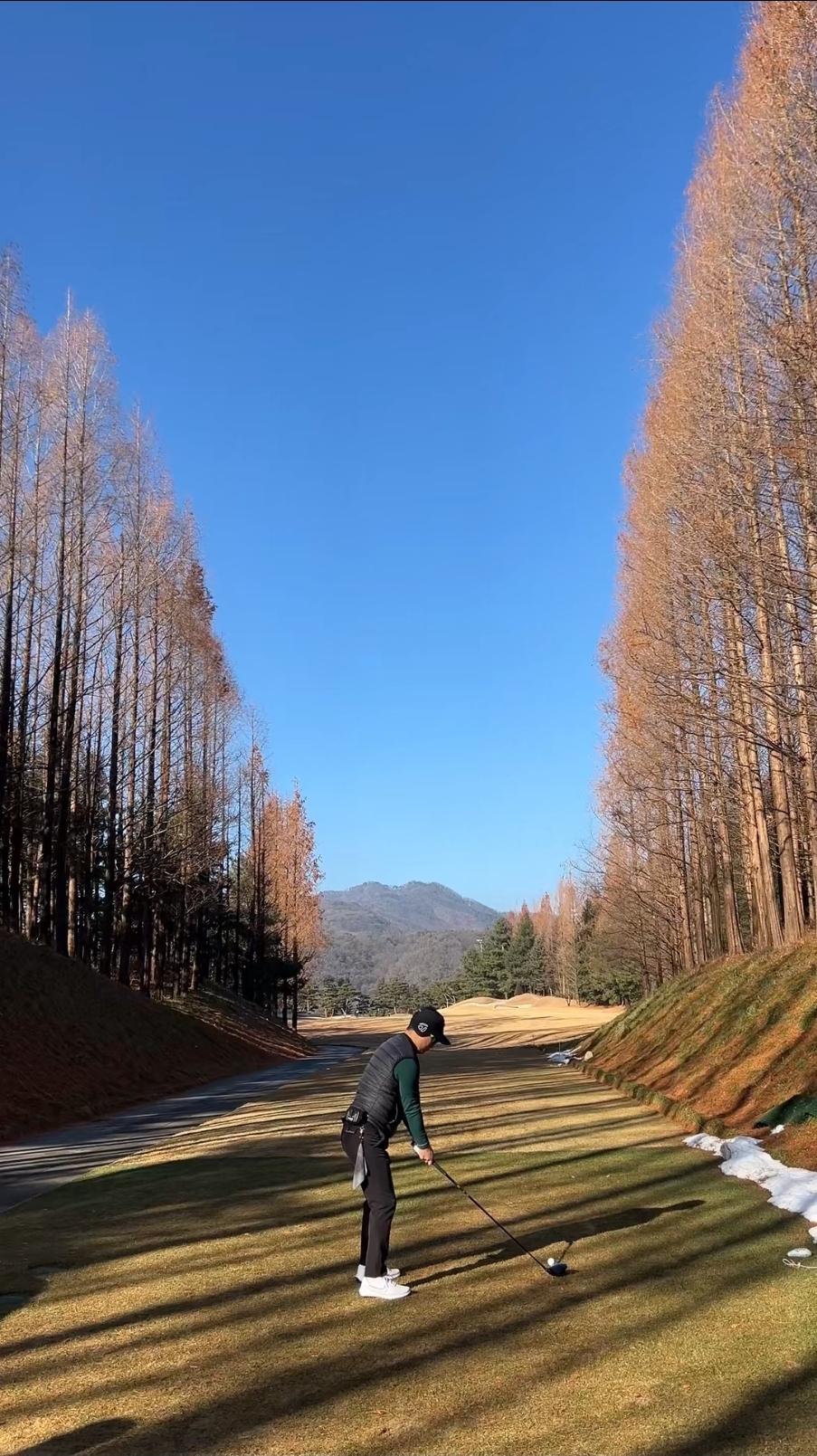 라운드 사진