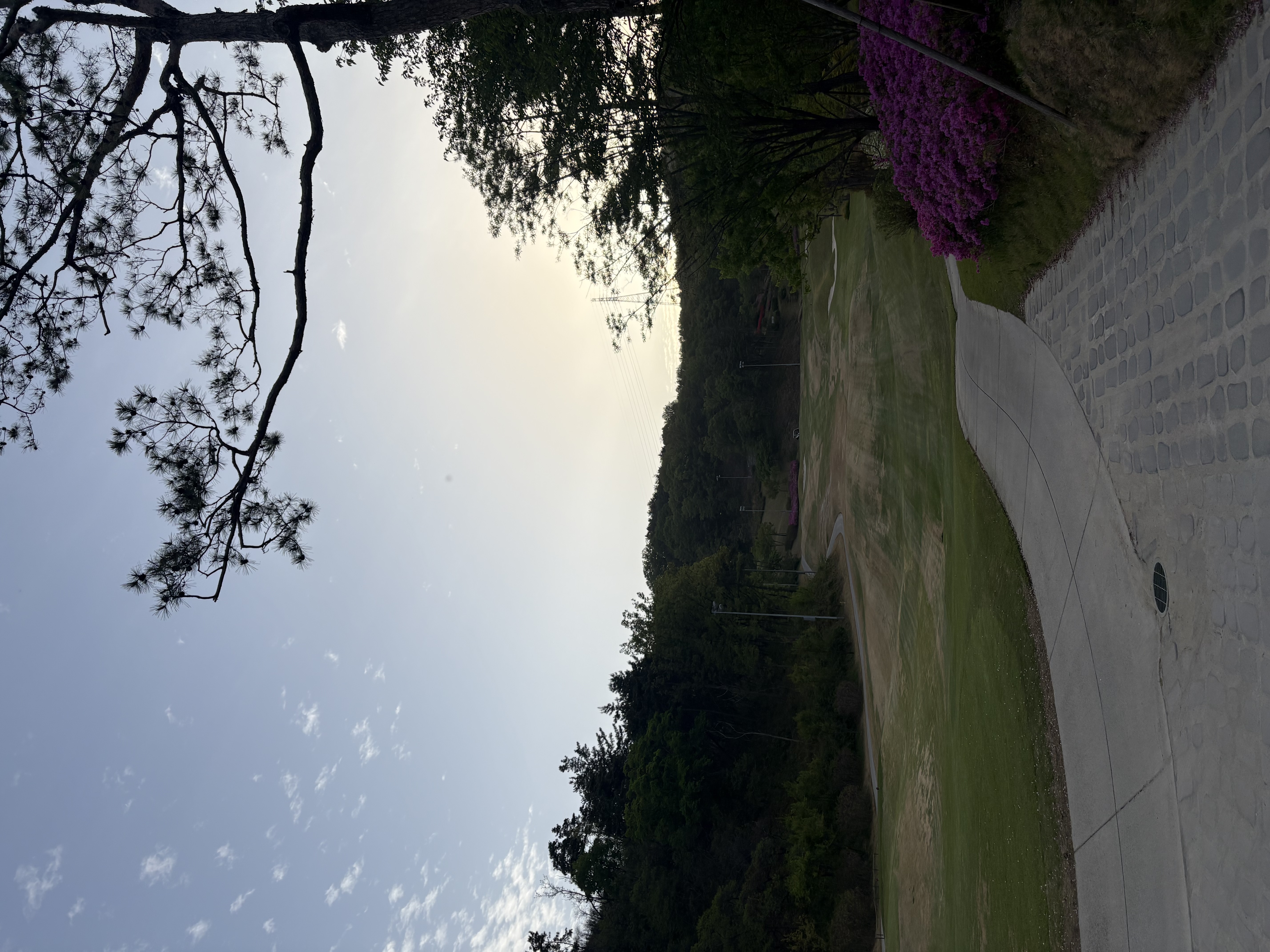 라운드 사진