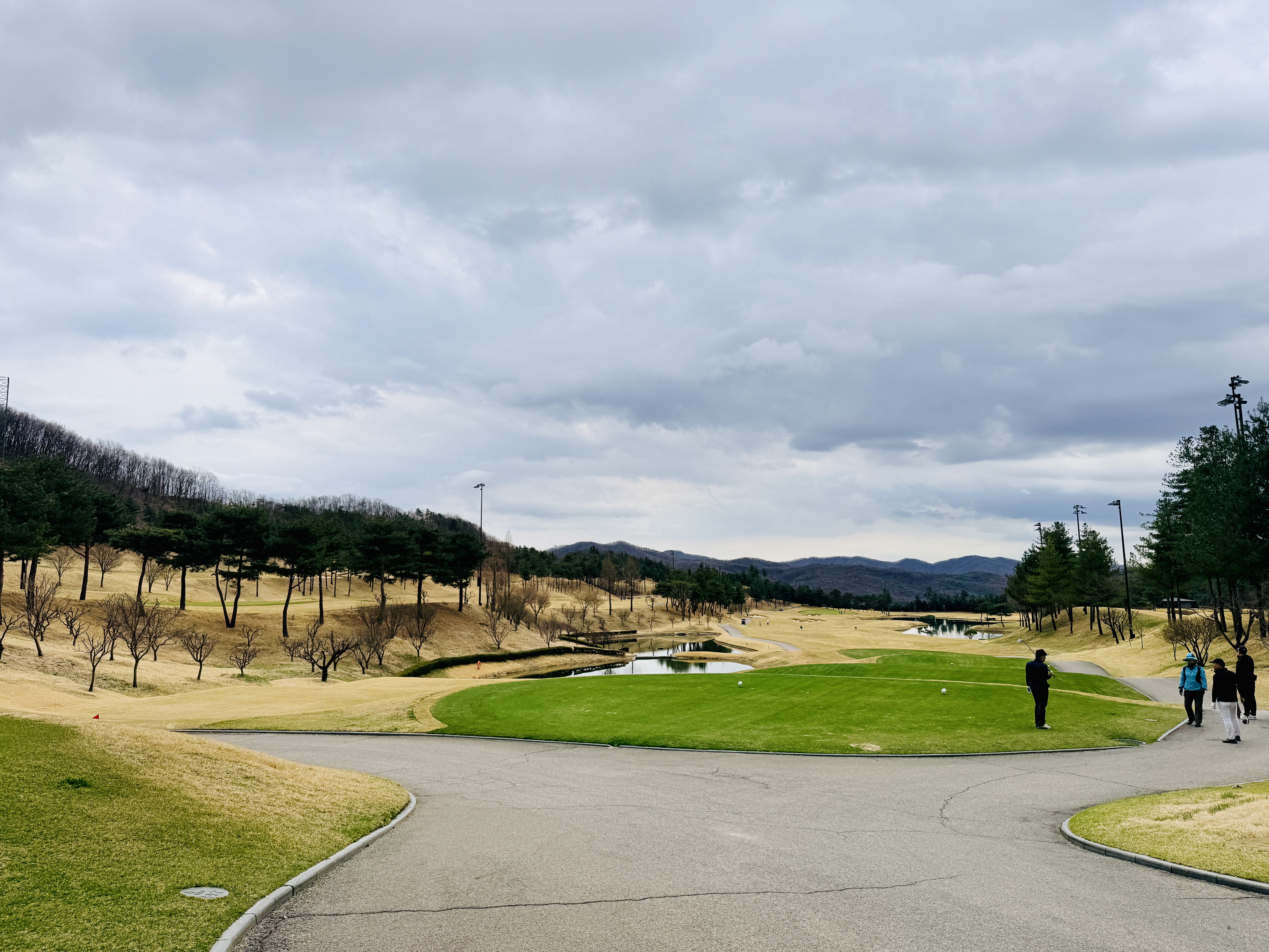 라운드 사진