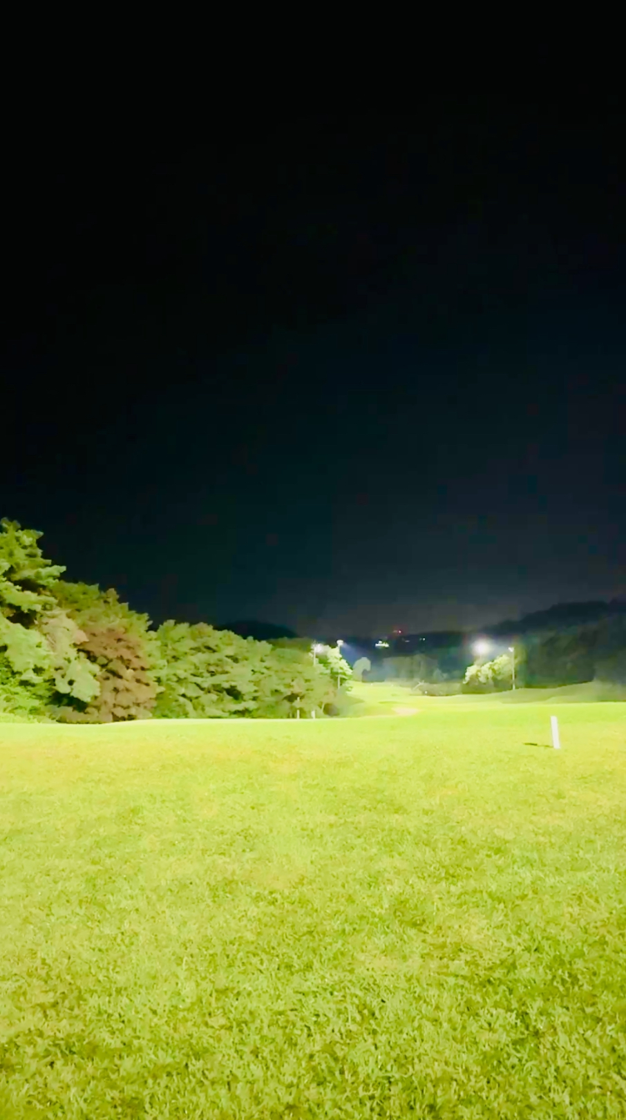 라운드 사진
