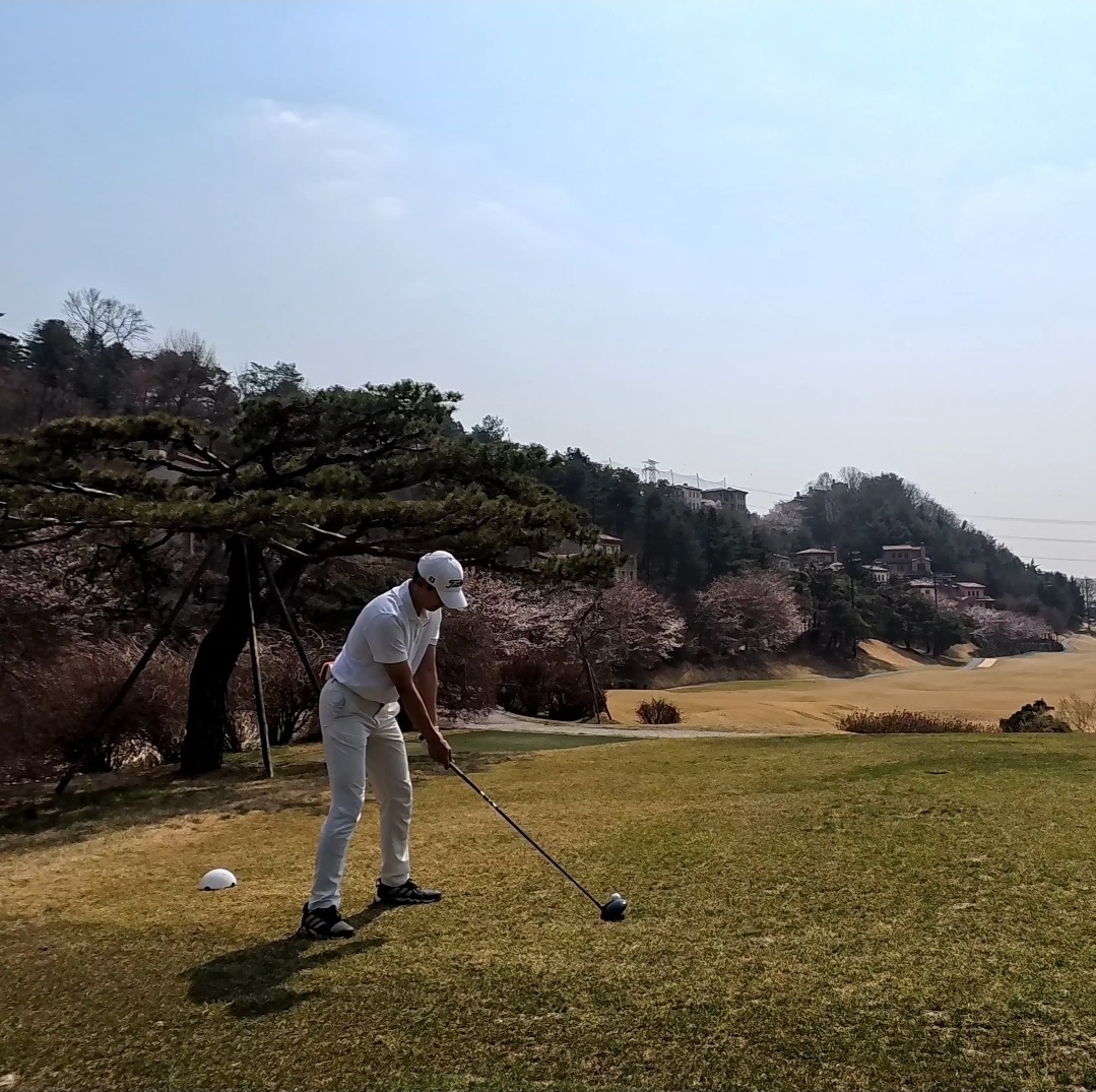 라운드 사진
