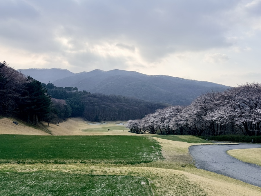 라운드 사진